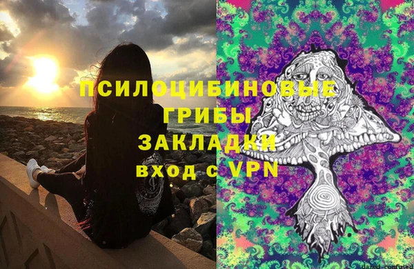 спайс Краснослободск