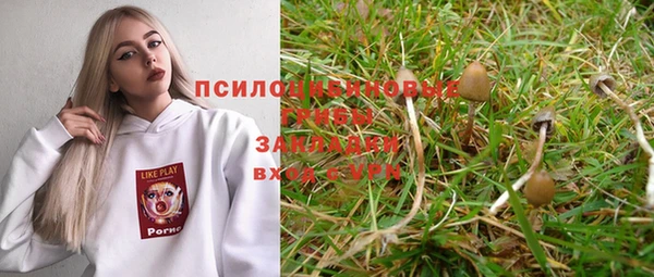 ешки Корсаков