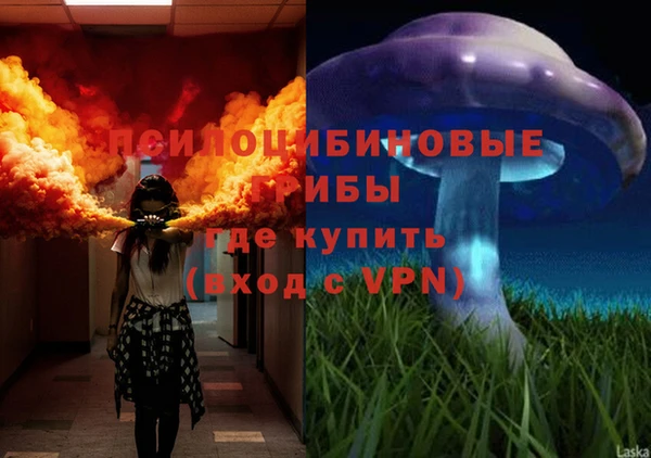 спайс Краснослободск