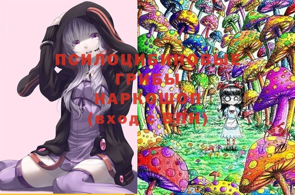 ешки Корсаков
