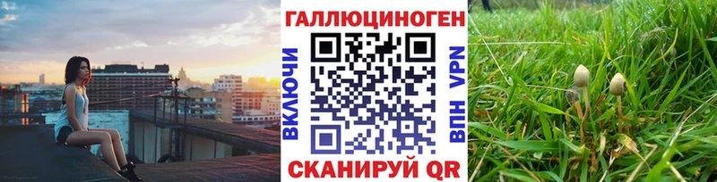 Галлюциногенные грибы MAGIC MUSHROOMS  что такое   Ленск 